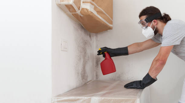 Professional Basement Mold Removal technician working in Forest Park, GA