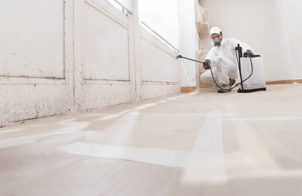 24/7 Emergency Basement Mold Removal experts in Forest Park, GA